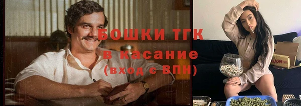 СК Михайлов
