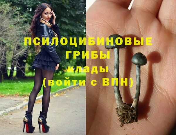 кристаллы Нестеровская