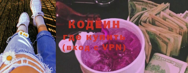 прущие грибы Великий Новгород