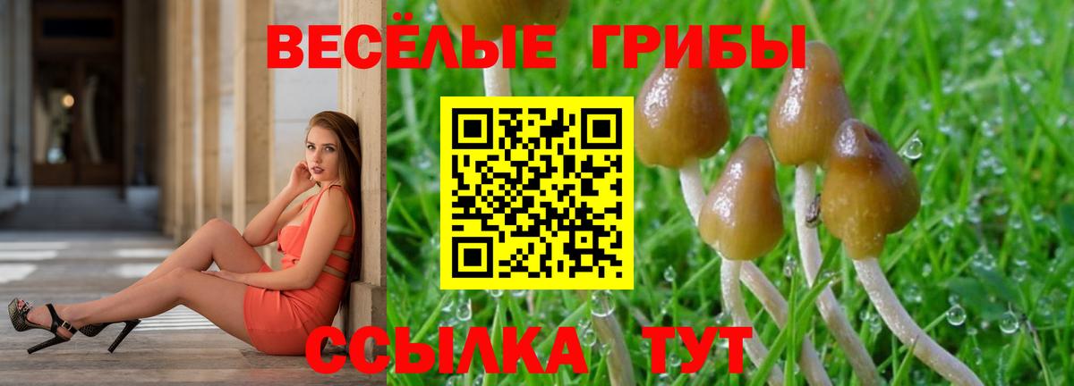 Псилоцибиновые грибы Cubensis  Псилоцибиновые грибы Cubensis  Волоколамск  Вход с VPN 